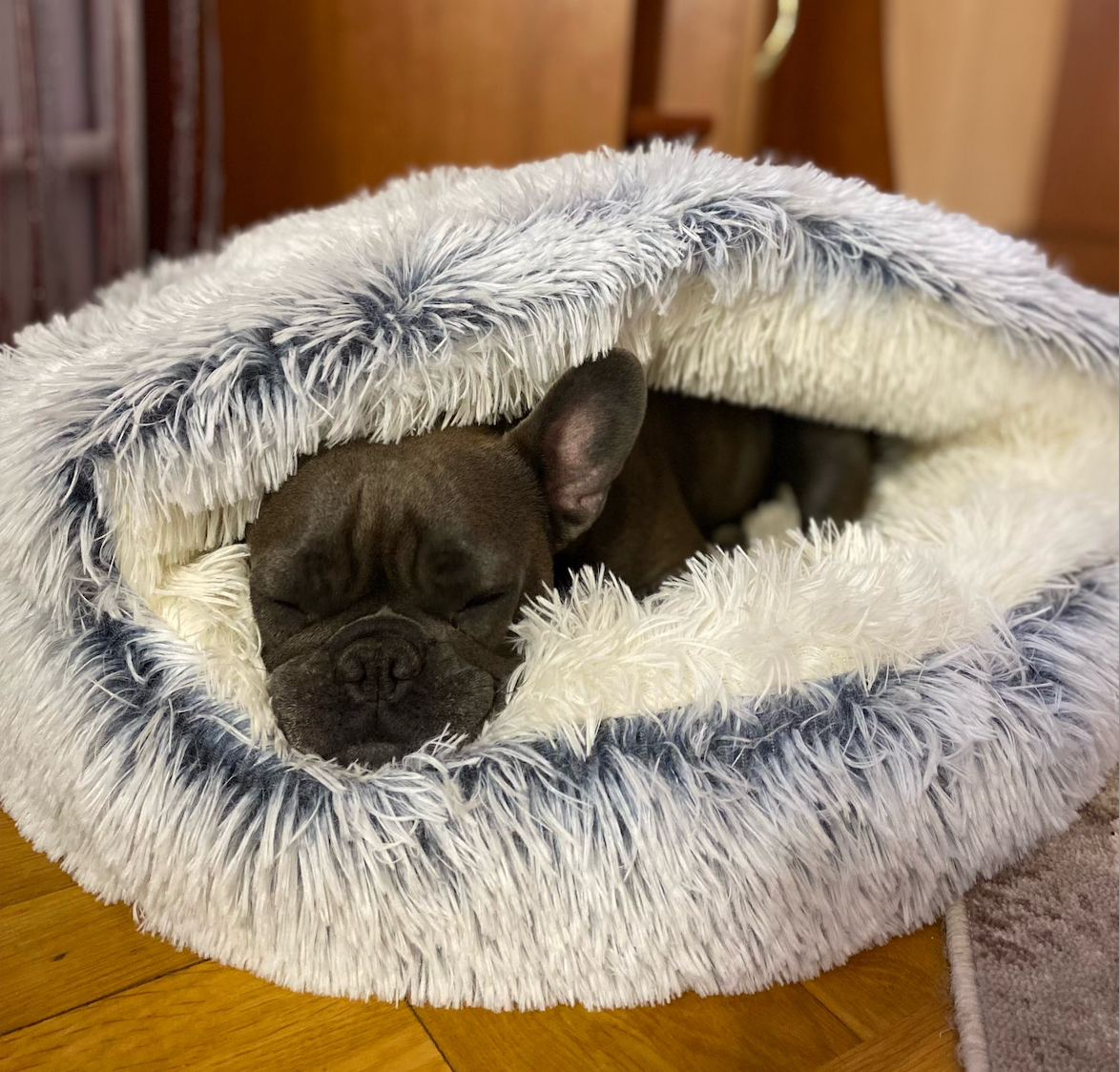 Άνετο Κρεβάτι Σκύλου Στυλ Σπηλιάς με Αντιολισθητική Βάση – Λούτρινο Μαξιλάρι για Σκύλους, Πλενόμενο στο Πλυντήριο, Διάφορα Μεγέθη και Χρώματα